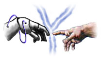 hands